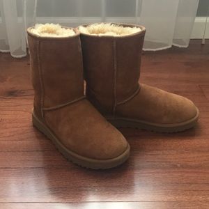 Classic Short || Boot Uggs